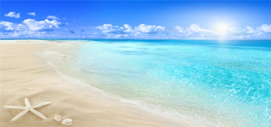 夏天海滩风景背景