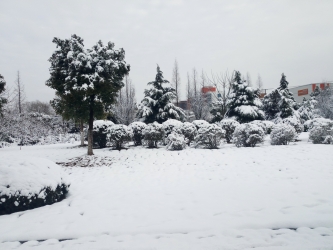 雪景