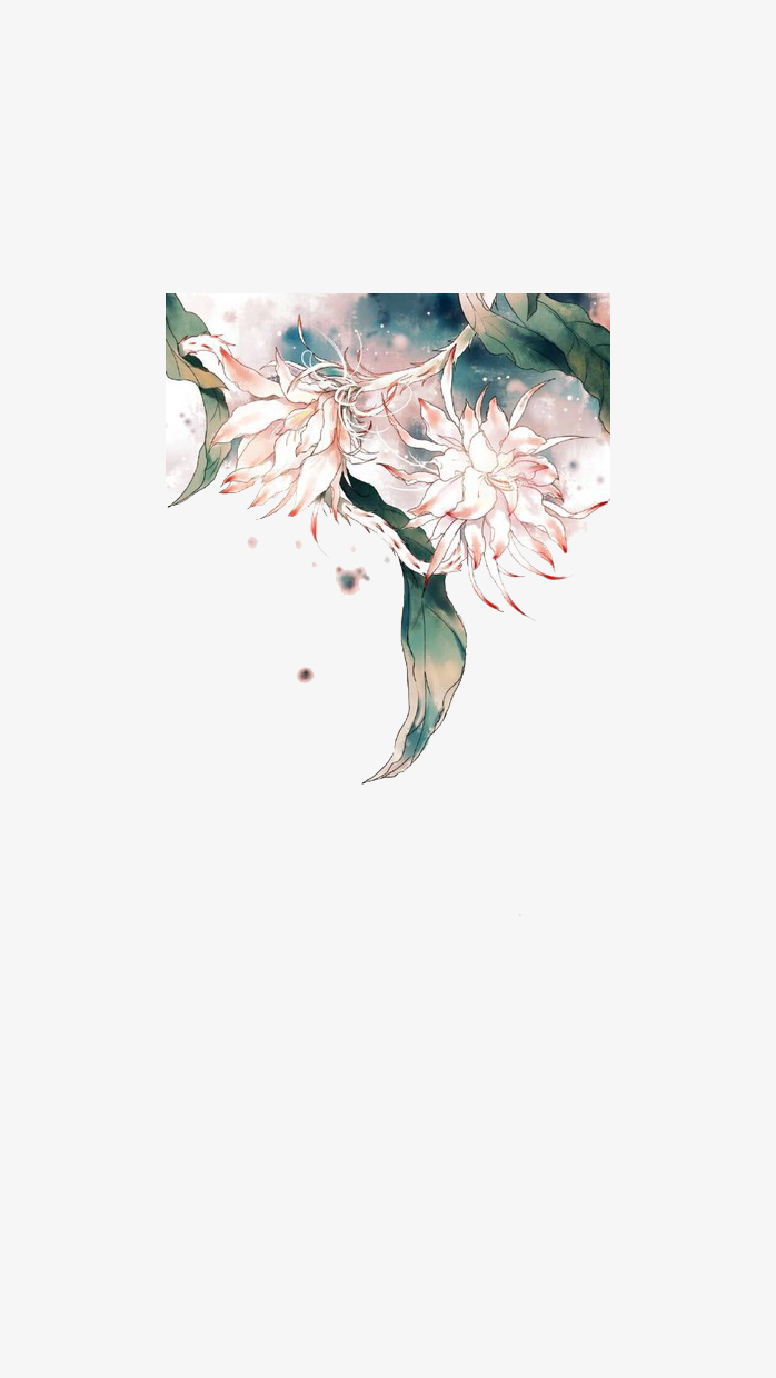 浪漫花朵边框