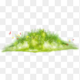 草坪草皮植物背景透明png