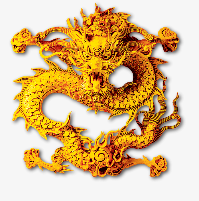 中国风金龙装饰插画