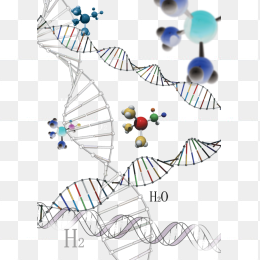 科学研究背景