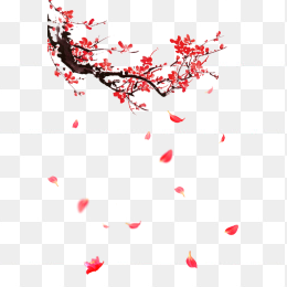 花瓣