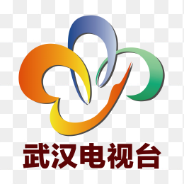 武汉电视台logo