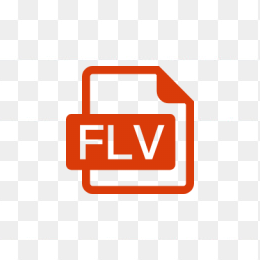 FLV格式