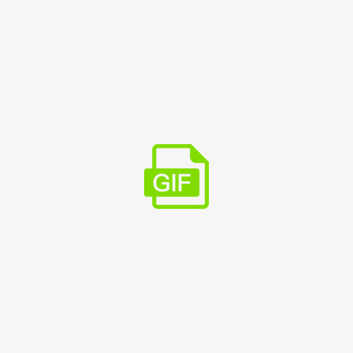 GIF格式