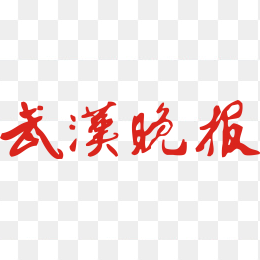 武汉晚报logo