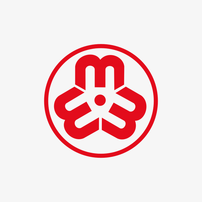 中国妇联logo