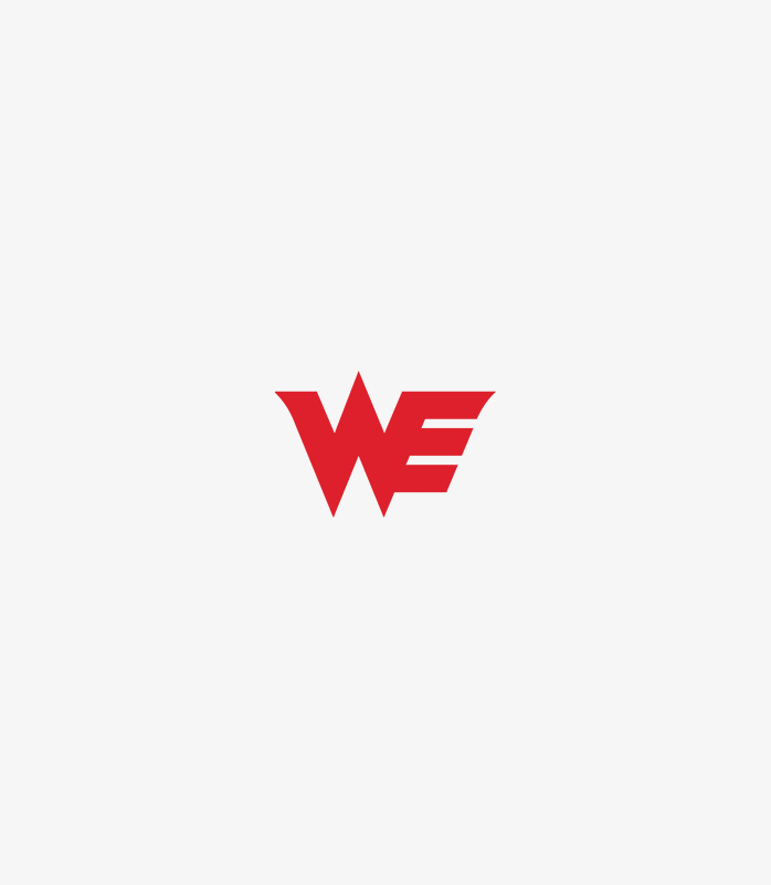 WE战队logo