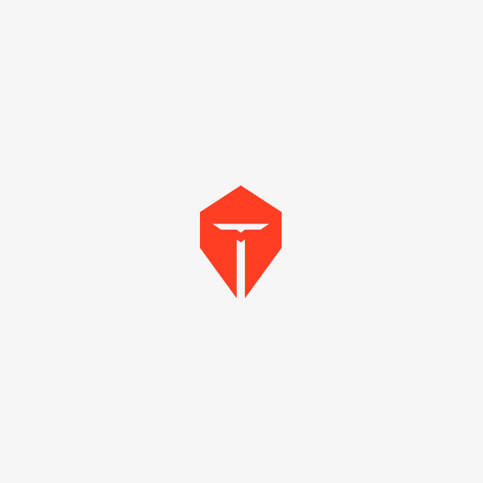 TTP战队logo
