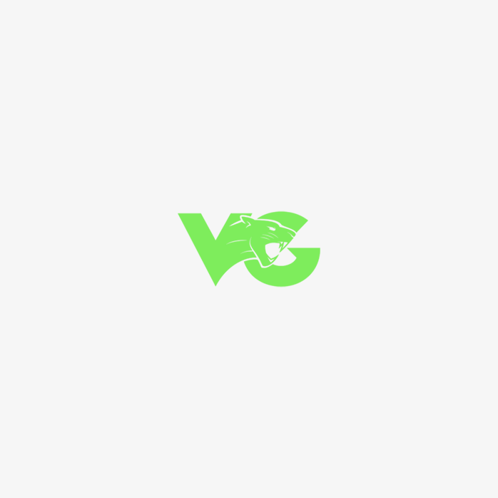 VG战队logo