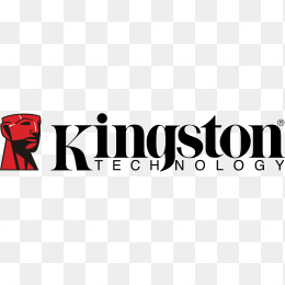 Kingston金士顿logo