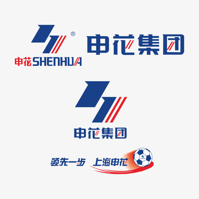 申花集团logo