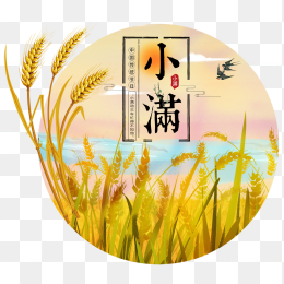 小满节气