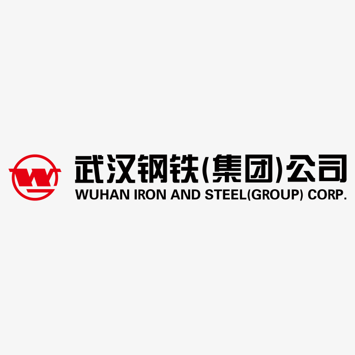 武汉钢铁logo