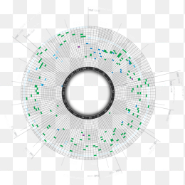 圆形方格科技元素