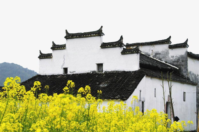 小洋房  房屋 建筑  排屋  城市房屋  楼层  