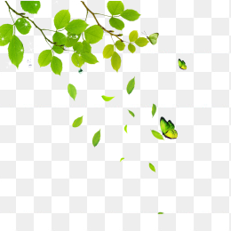 绿色树叶漂浮素材
