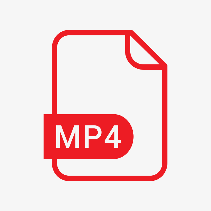 MP4格式