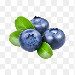 免扣蓝莓