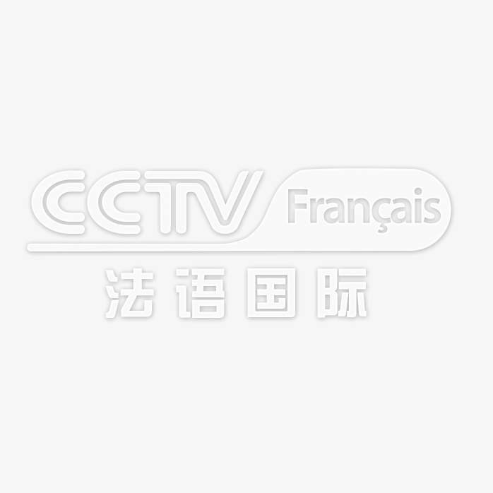 透明CCTV法语国际频道logo