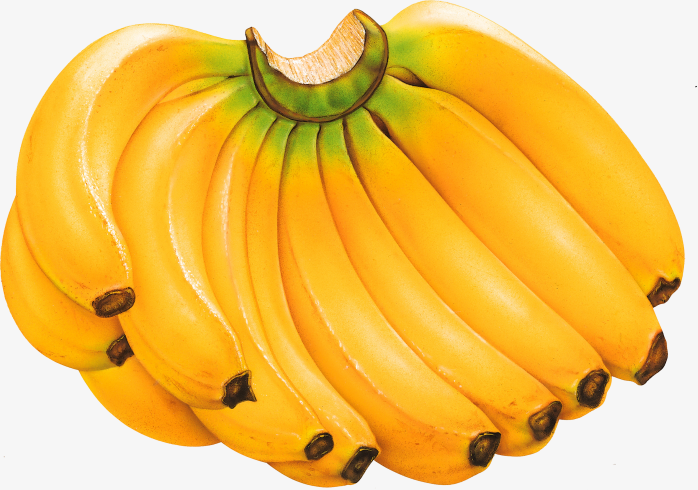 一大挂香蕉