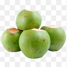 椰子果