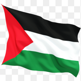 Palestine巴勒斯坦国旗