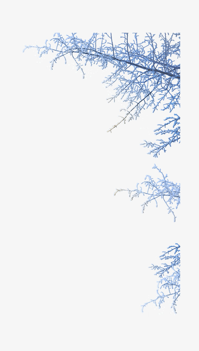 冬天雪树枝