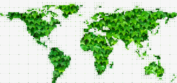 绿叶世界地图
