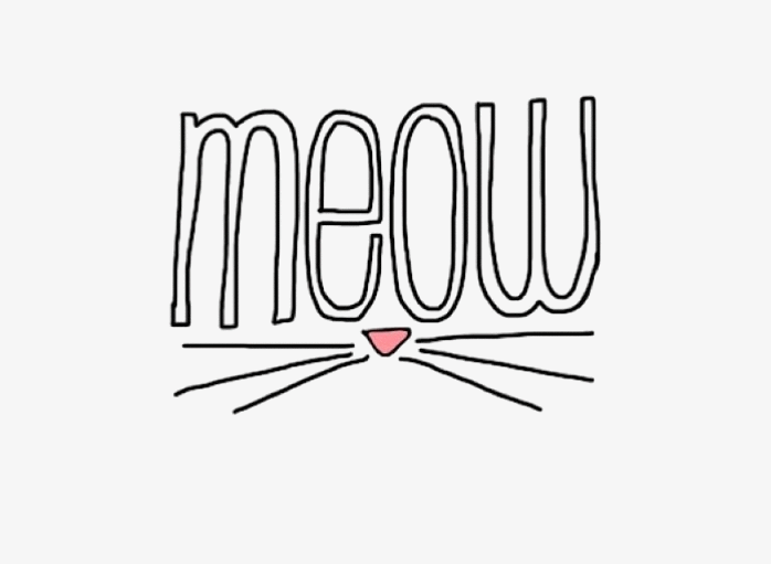 创意meow艺术字