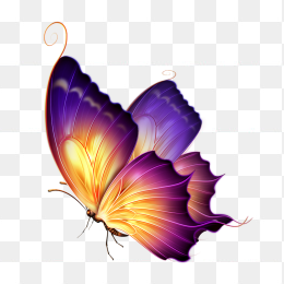 紫黄色蝴蝶矢量素材