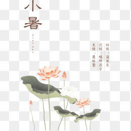 小暑廿四节气