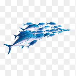 蓝色深海鱼