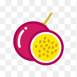 矢量柚子水果