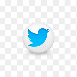 twitter logo