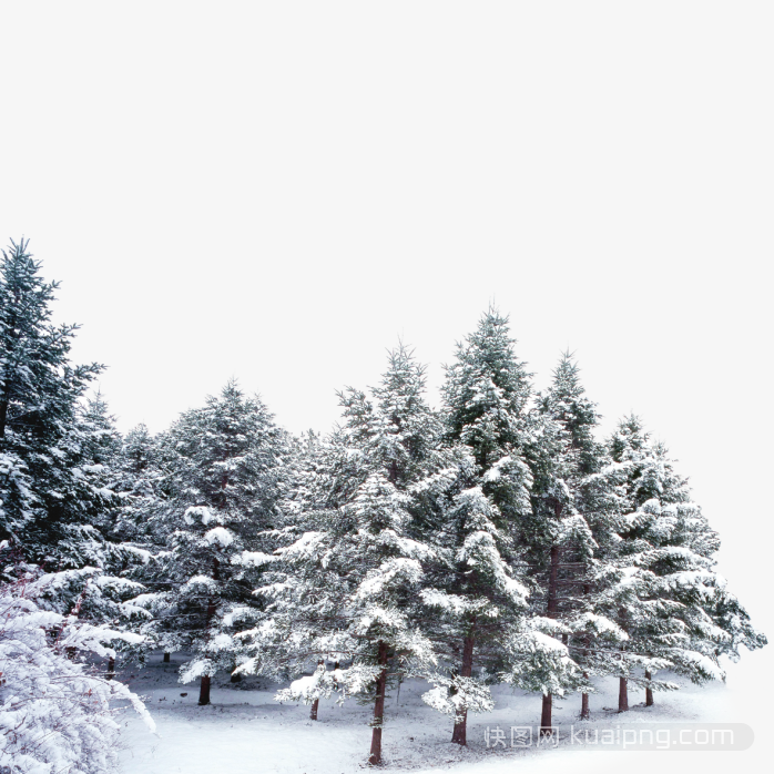 冬天雪景